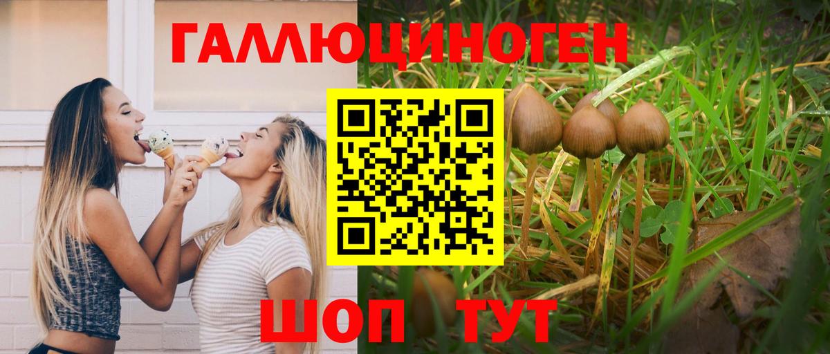 Псилоцибиновые грибы мухоморы  наркота  Истра  Вход с VPN  Галлюциногенные грибы Psilocybine cubensis 